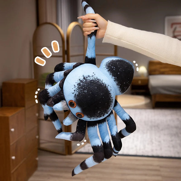 Black Spider Jumping Spider – A Cuddly Surprise from the Shadows