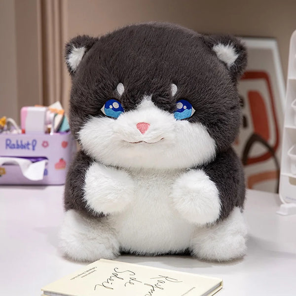 Creative Plush Round Fat Cat Plush Toys Cat Kawaii Animal Pillow Dolls Stuffed Toy