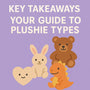 Key Takeaways: Your Guide to Plushie Types