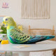  Parrot 40cm