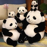 Cute Baby Panda Plush – Snuggle Up to Cuteness!