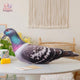  Pigeon 48cm