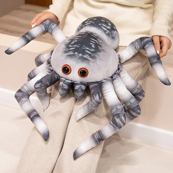 Black Spider Jumping Spider – A Cuddly Surprise from the Shadows