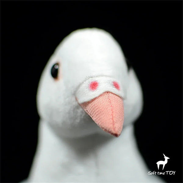 Lifelike White Pigeon Plush Toy – A Feathery Friend with a Cozy Touch