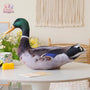 A Pack of 8 Friends – A Flock of Fun Arrives at Your Doorstep!