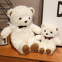 Kawaii Pure White Teddy Bear – The Bear Hug Every Girl Dreams Of
