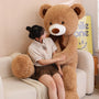 A Bear for Every Heart: Classic Teddy Bears with a Sweet Twist