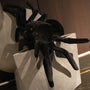 Spider Plush Stuffed Animals – A Soft Hug from the Shadows