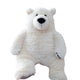  Polar Bear