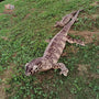 Lifelike Green/Brown Lizard Plush Toy – Realistic Stuffed Animal Doll