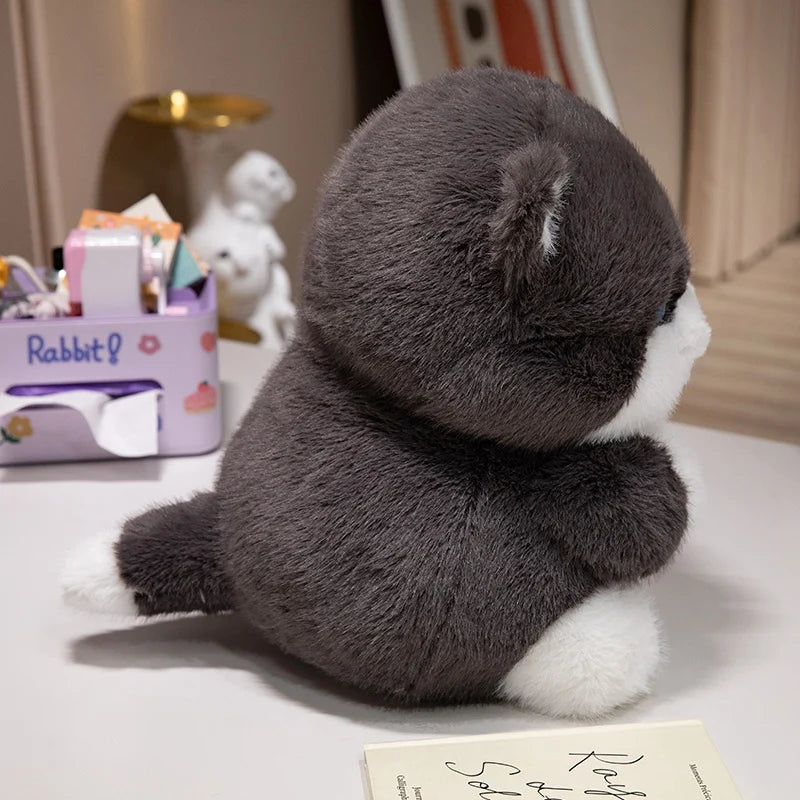 Creative Plush Round Fat Cat Plush Toys Cat Kawaii Animal Pillow Dolls Stuffed Toy
