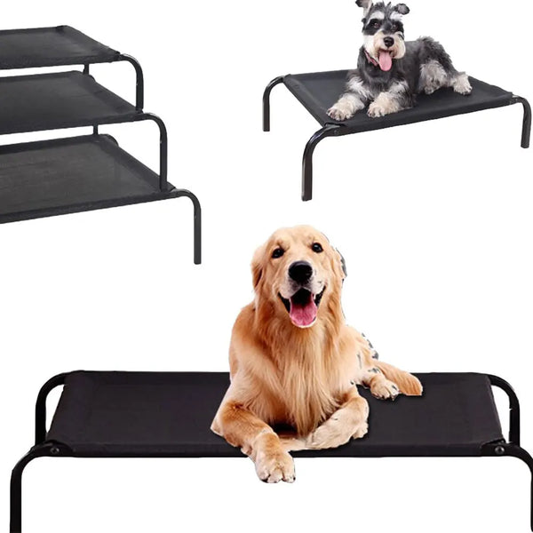Luxury Pet Bed for Large Dogs: The Throne Your Gentle Giant Deserves