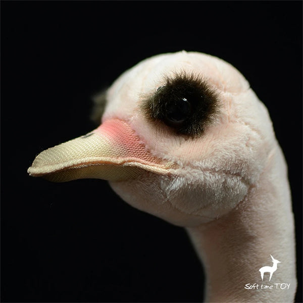 Ostrich Plush Toy – A Soft & Lifelike Feathered Friend!