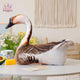  Goose 50cm
