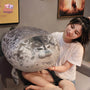 Seal Lovely Sea Lion Plush Toy – The Ultimate Snuggle Buddy