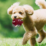 Interactive Airplane Plush Dog Toy  A Fun & Cozy Adventure for Your Pup