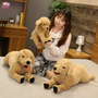 Realistic Labrador Plush Toy