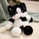  Cow Cat