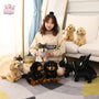 Snuggle Buddies: French Bulldog Tibetan Mastiff Plush Duo