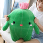 Cartoon Cactus Plush Toys – Where Softness Meets the Desert Sun