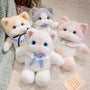 Cute 4-Colour Cat Plush Doll – A Dreamy Companion for Sweet Dreams