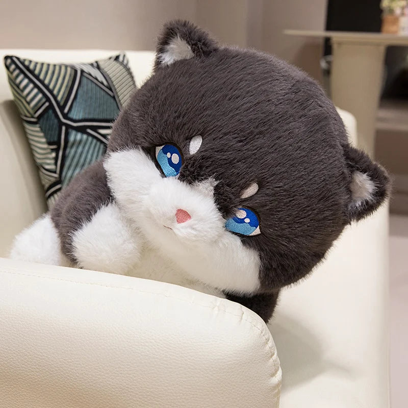 Creative Plush Round Fat Cat Plush Toys Cat Kawaii Animal Pillow Dolls Stuffed Toy