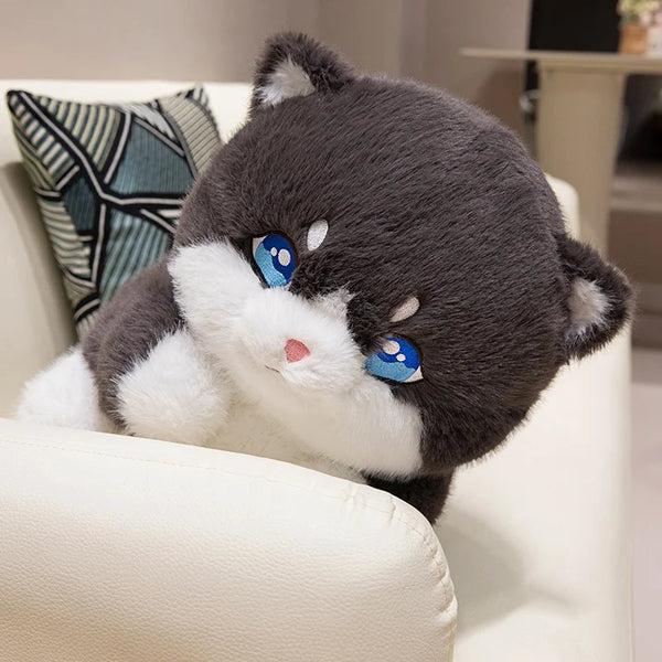 Creative Plush Round Fat Cat Plush Toys Cat Kawaii Animal Pillow Dolls Stuffed Toy