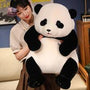 Cute Baby Panda Plush – Snuggle Up to Cuteness!