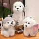 Poodle
