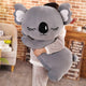  Joey / Grey