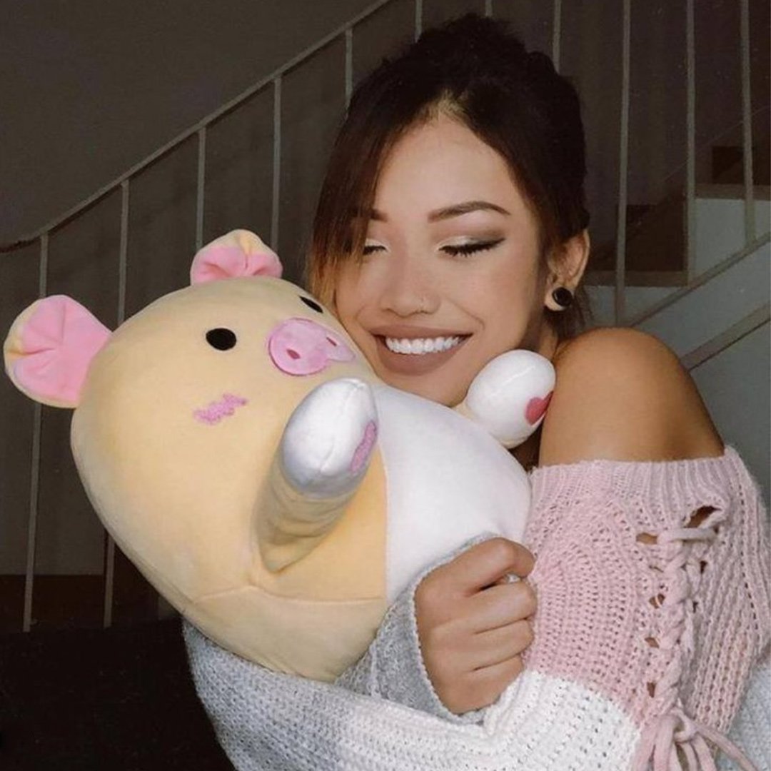 Long Snuggle Buddies Plushie Collection