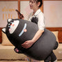 Pancake Duck Dog Cat Bunny Plushie Collection 2024