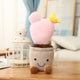  pink cactus