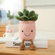  pink Succulents