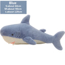  blue shark