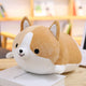 60cm Brown Corgi