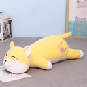  Shiba Inu