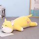  Shiba Inu
