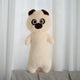  60cm pug