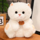  Sit White