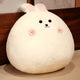  white rabbit