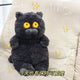  Black cat