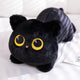  Black cat
