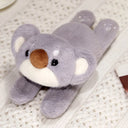  koala