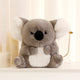  koala