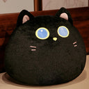  black cat