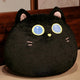  black cat