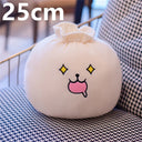  25cm 1