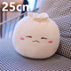  25cm 2