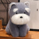 Schnauzer Grey